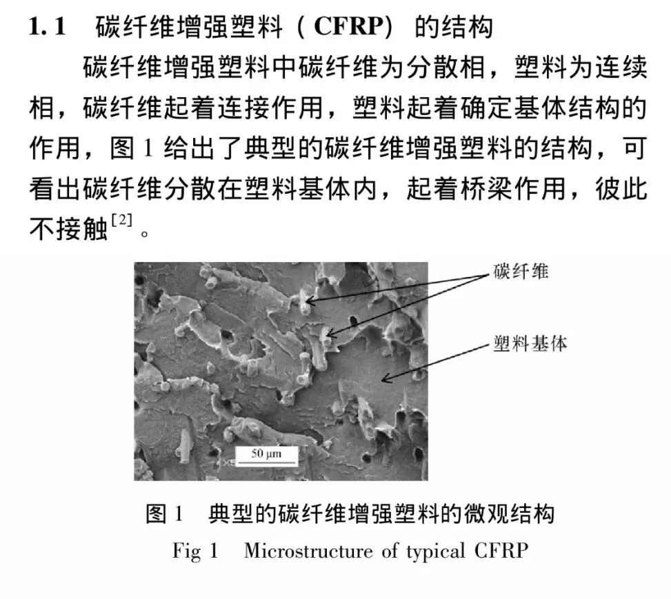 绳梯训练篮球_1